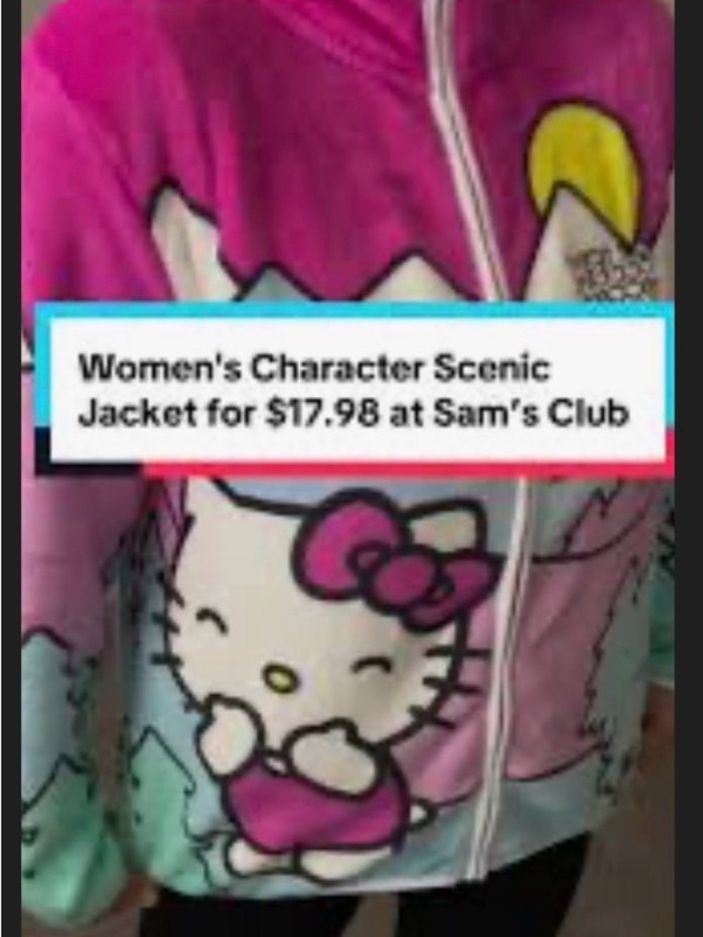 Hello Kitty - NWT - Pink, Light Blue and White Plush Zip Sherpa Jacket - Picture 5 of 5